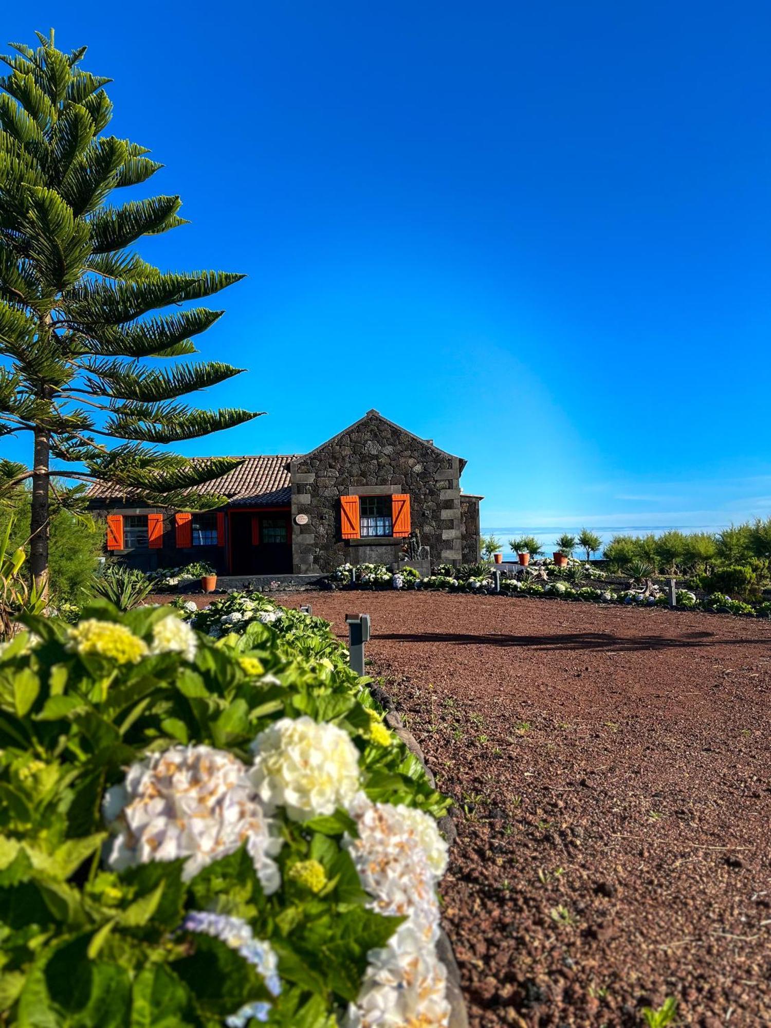 Villa Casa Baleia Laranja Ocean-Front à Madalena  Extérieur photo